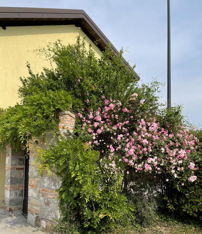 img1-giardino-giochi-artisti-di-fantasie-udine